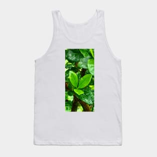 Green leaf Tank Top